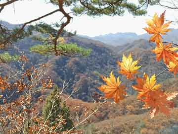 惊！金正恩登上了一艘“神秘舰船”，背后竟藏着这些商业解决方案？