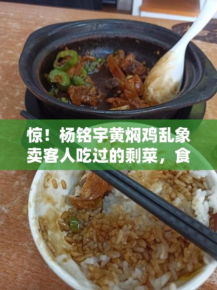 惊！杨铭宇黄焖鸡乱象卖客人吃过的剩菜，食品安全底线何在？