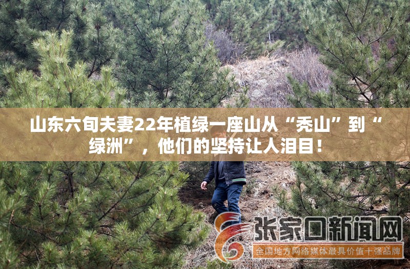 山东六旬夫妻22年植绿一座山从“秃山”到“绿洲”，他们的坚持让人泪目！