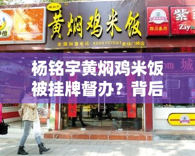 杨铭宇黄焖鸡米饭被挂牌督办