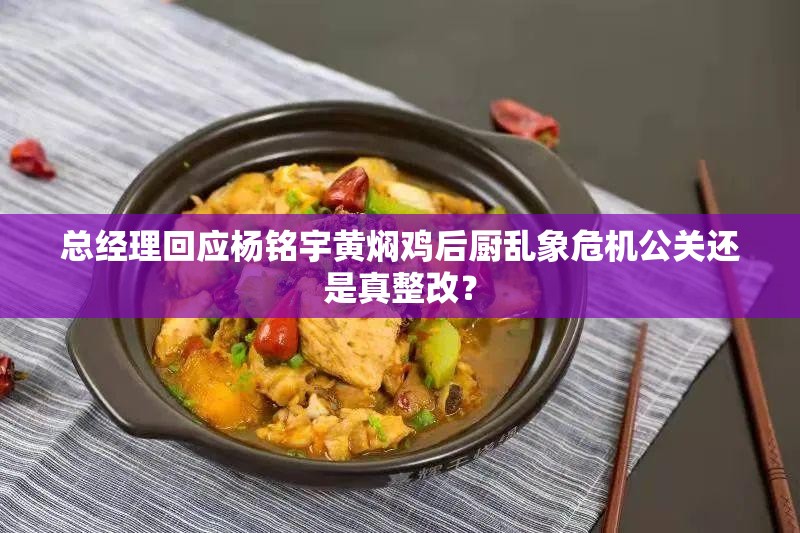 总经理回应杨铭宇黄焖鸡后厨乱象