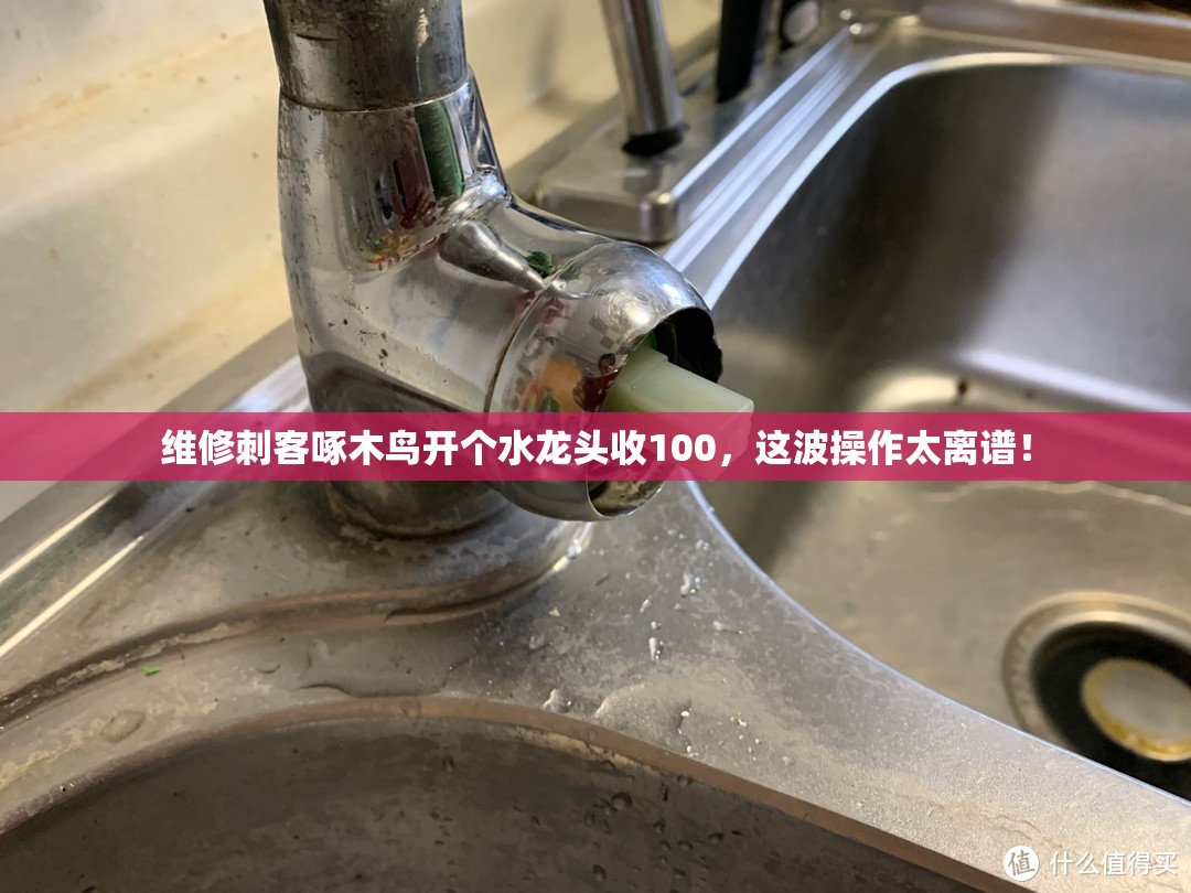 维修刺客啄木鸟 开个水龙头收100