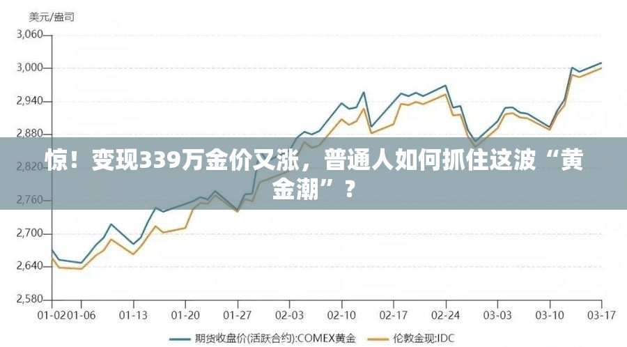 惊！变现339万金价又涨，普通人如何抓住这波“黄金潮”？