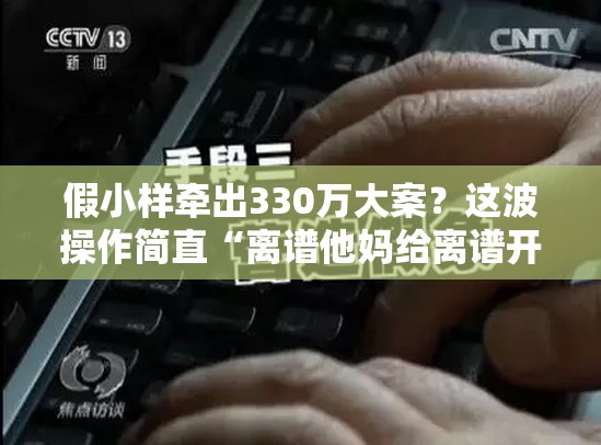 假小样牵出330万大案？这波操作简直“离谱他妈给离谱开门”！